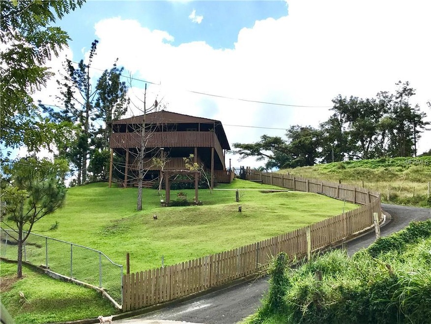 743 Los Pinos Sector Guavate, Cayey, PR 00736 - photo 1
