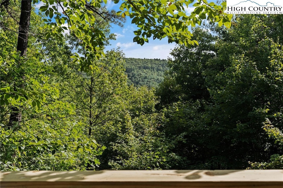 AWESOME mountain view