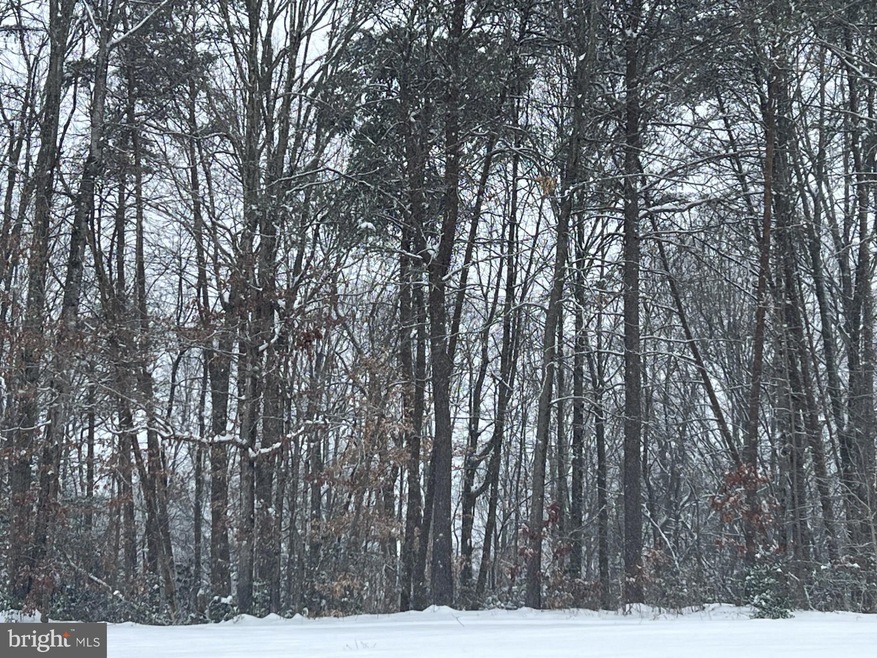 0 Wilderness Rd unit VAWR2009840, Linden, VA 22642 - photo 1