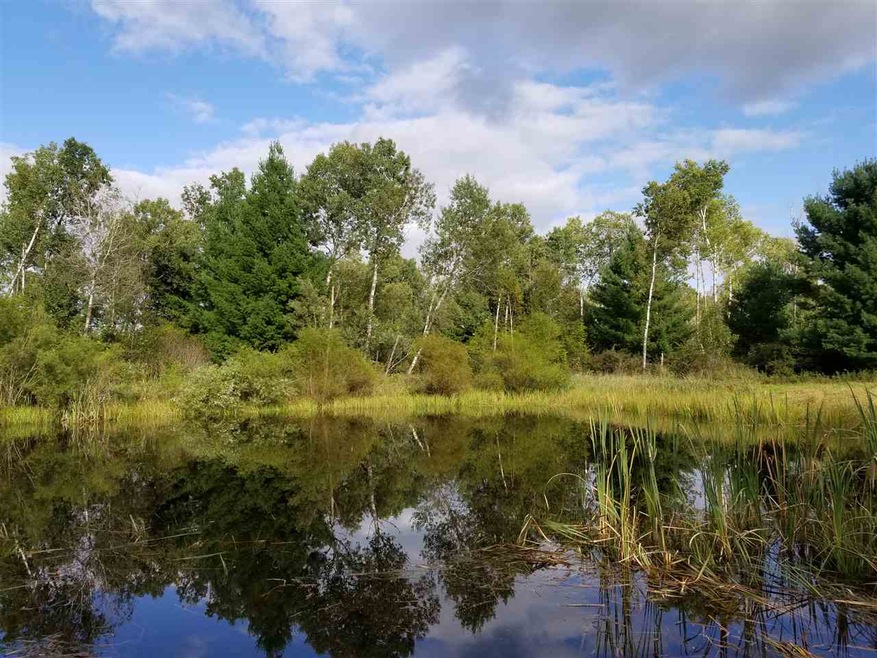 40 Ac County Road C, Orange, WI 54618 - photo 1