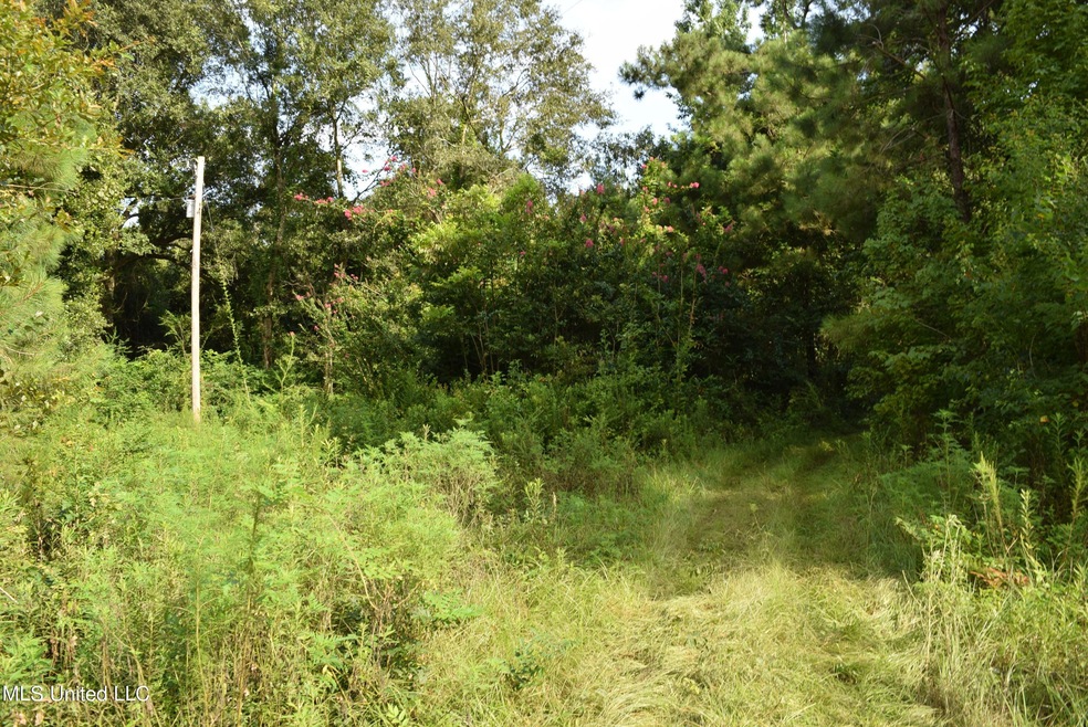 3 +- acres wooded property