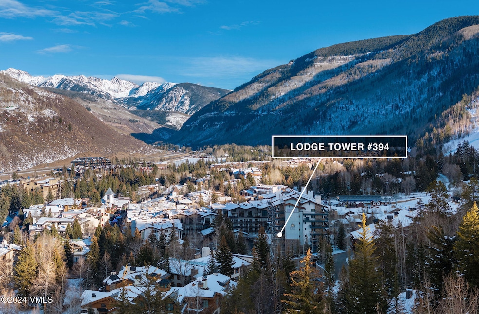 Lodge Tower 394