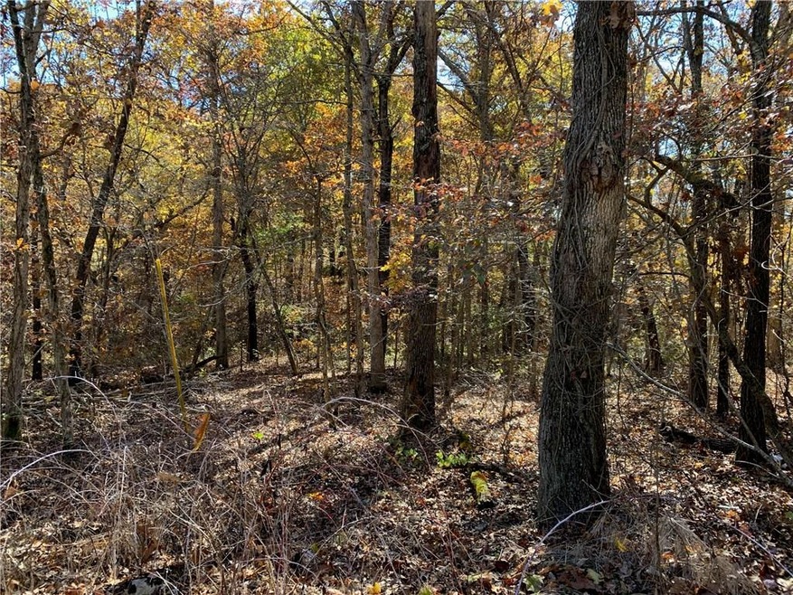 Lot 4 Wendler Ln, Bella Vista, AR 72715 - photo 1