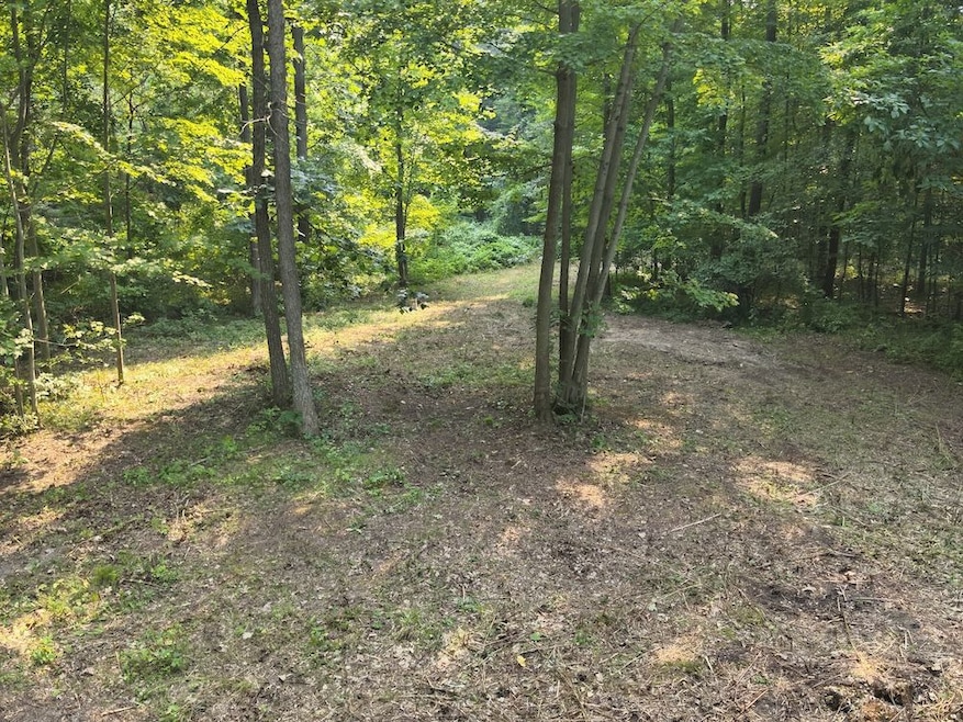 Frushour Dr Lot unit WP001, Holly, MI 48442 - photo 1