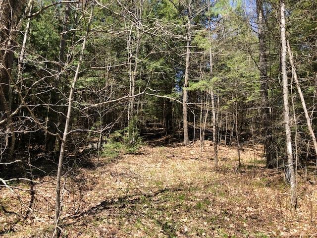 0 Hardy Hill Rd, Lebanon, NH 03766 - photo 1