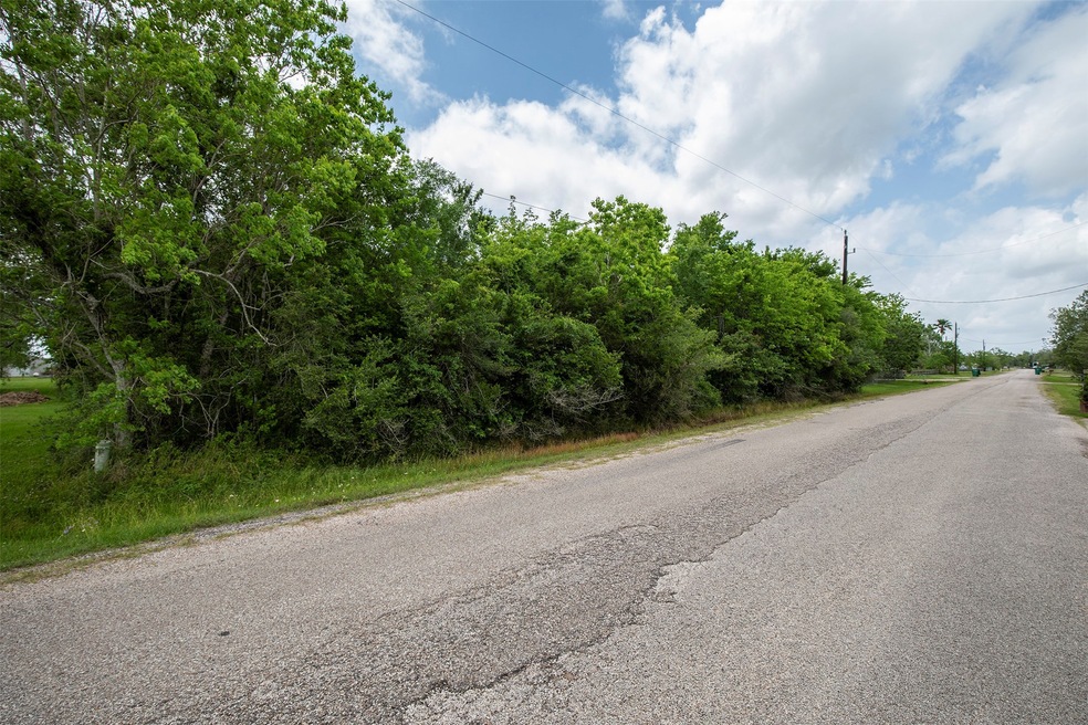 0 County Road 557, Alvin, TX 77511 - photo 1
