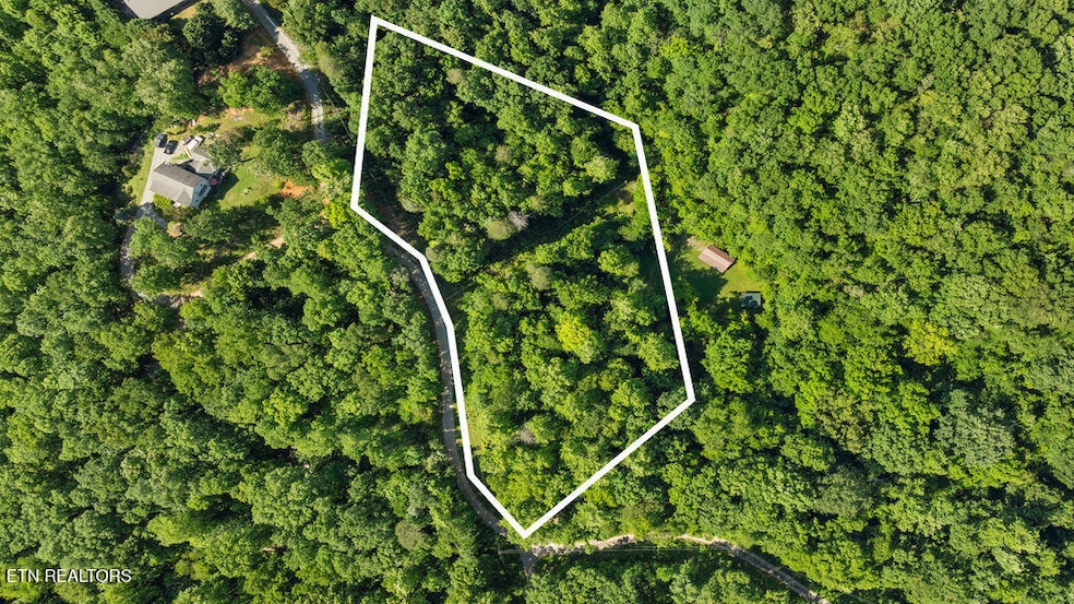 DJI_0708