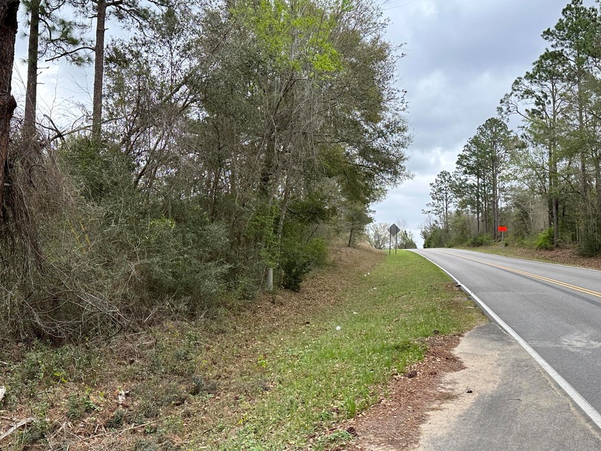 Tract#6408 Cooks Mill Rd unit C, Bonifay, FL 32425 - photo 1