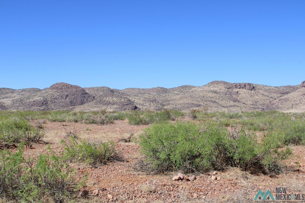 0 Saguaro Rd SE unit 20223081, Deming, NM 88030 - photo 1