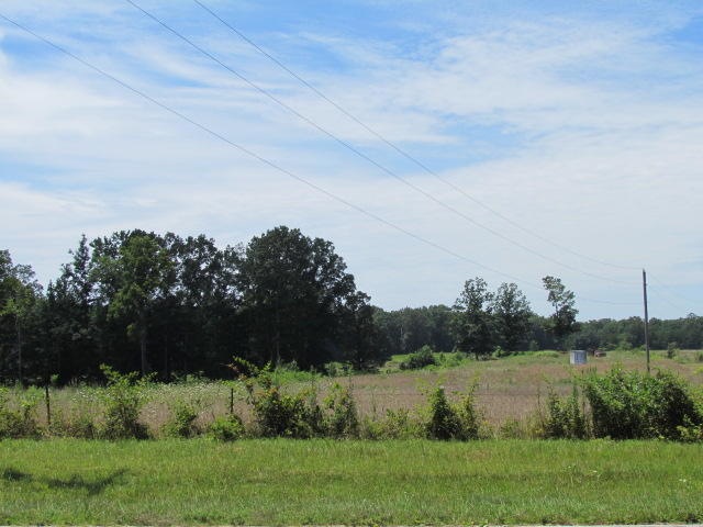 5 acres!