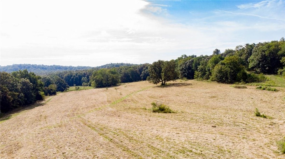 0 Bray Rd, Elkins, AR 72727 - photo 1