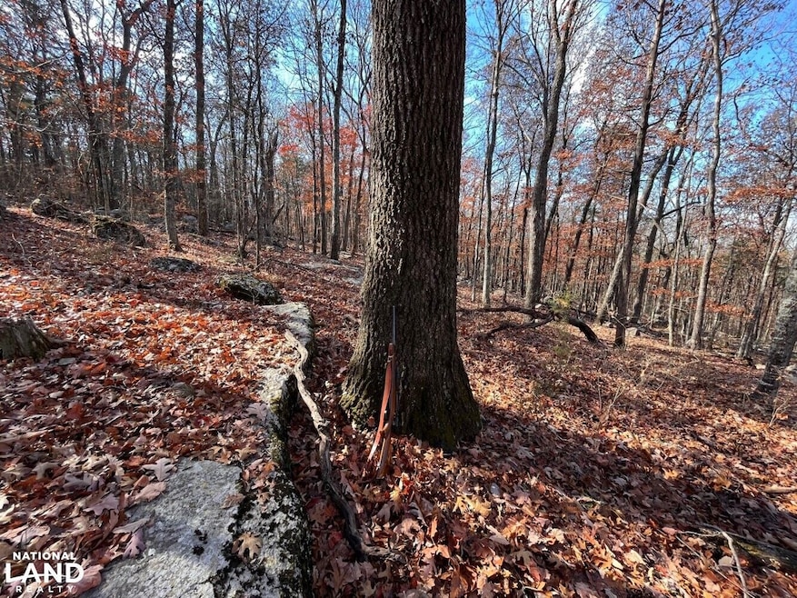 0 Southard Rd unit 25767772, Gurley, AL 35748 - photo 1