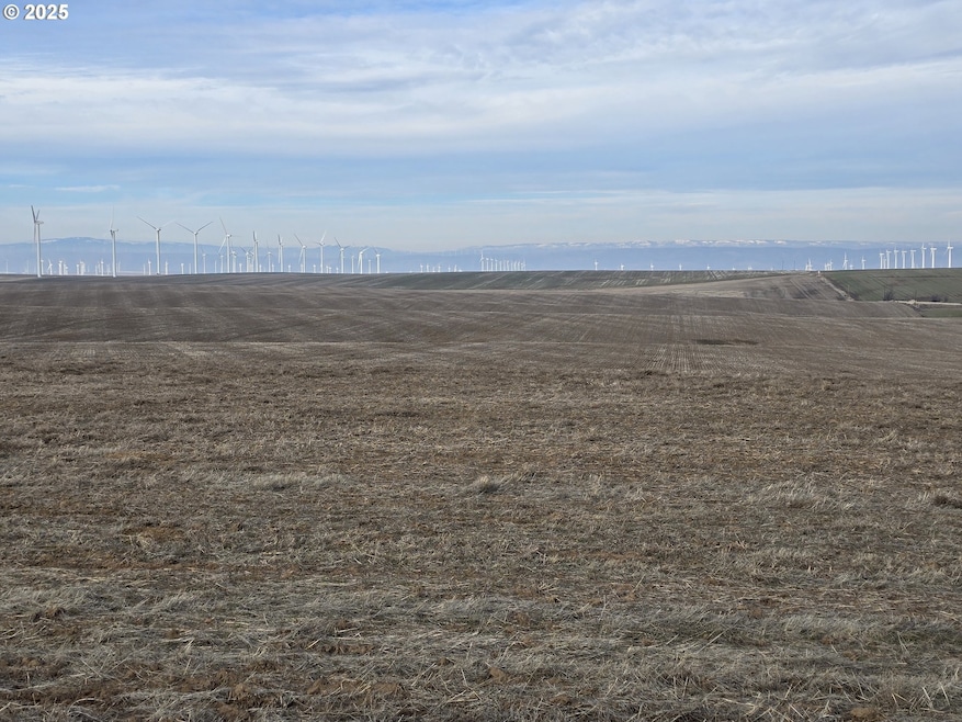 0 Gossen unit 515415298, Wasco, OR 97065 - photo 1