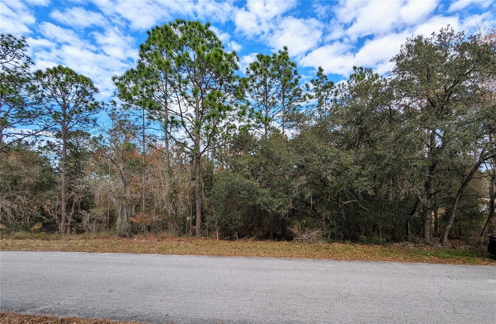 0 SW 211th Cir, Dunnellon, FL 34431 - photo 1