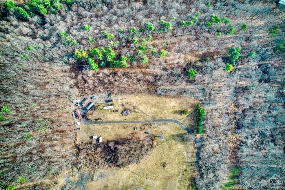 20 Skinner Rd, Athens, NY 12414 - photo 1