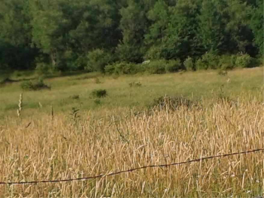 0 Beck Rd, Corry, PA 16407 - photo 1