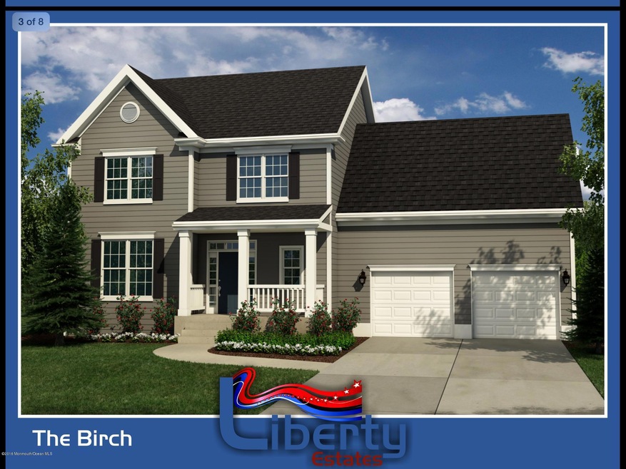birch rendering