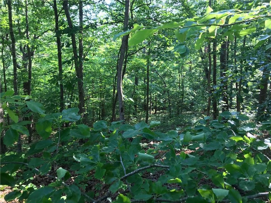 0 Burghley Ln unit 1115798, Bella Vista, AR 72714 - photo 1