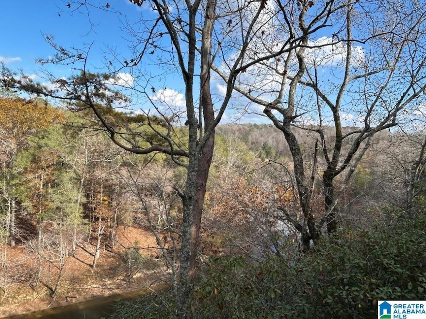 4.15 acres N Hagler Rd, Northport, AL 35475 - photo 1