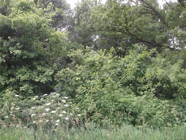DSCF0002.JPG