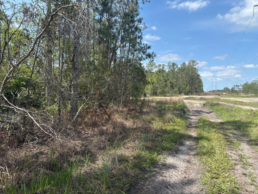 0 Holopaw Groves Rd unit F10536884, Saint Cloud, FL 34772 - photo 1