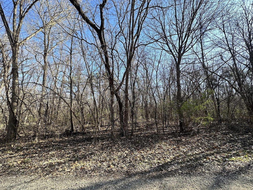 Lot 0 Sky King Dr, Trempealeau, WI 54661 - photo 1