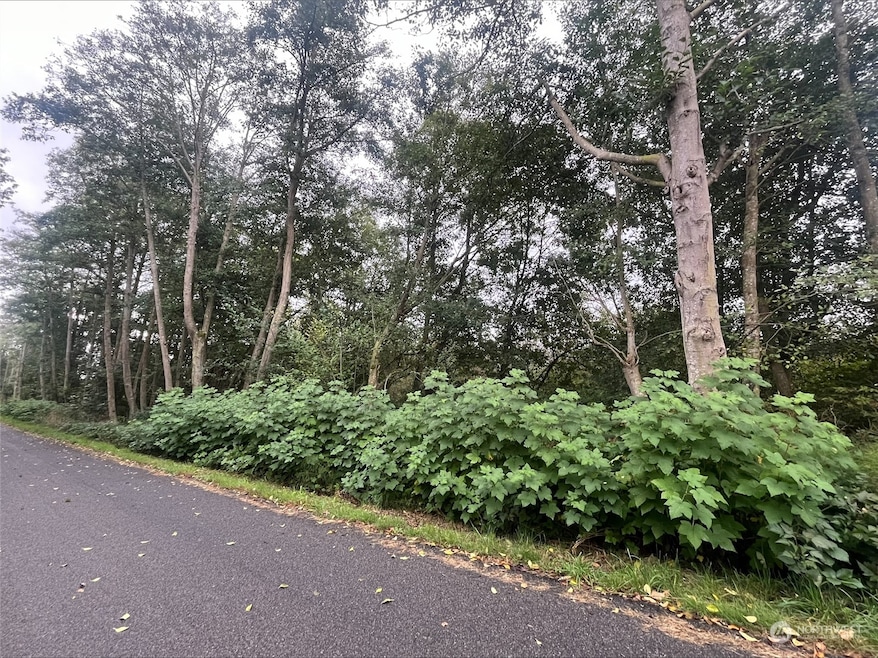 1 Logen Rd, Stanwood, WA 98292 - photo 1