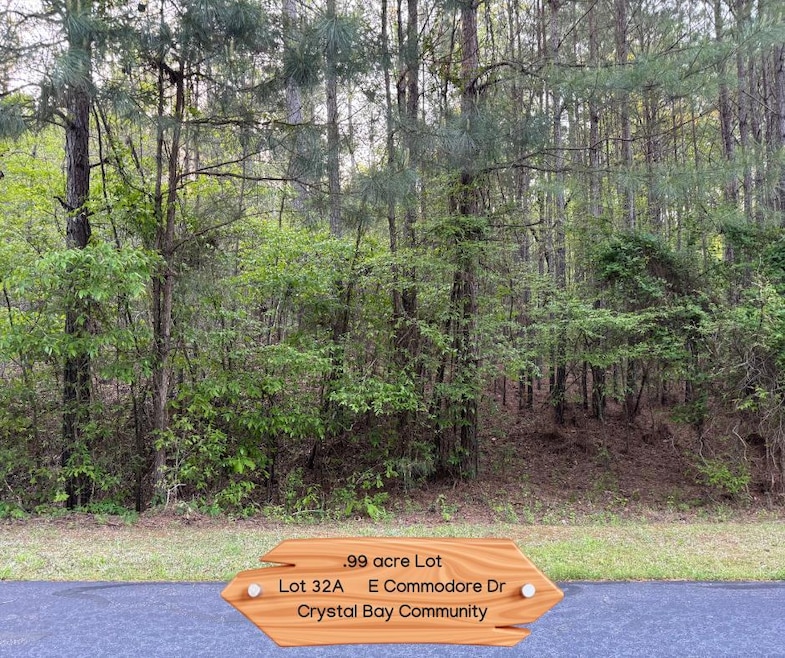 Lot 32A E Commodore Dr, Cross Hill, SC 29332 - photo 1
