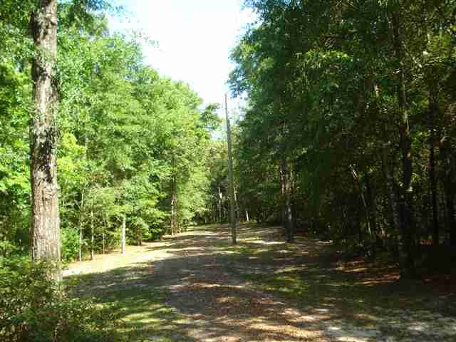 0 Forest Ln unit 2 207091, Crawfordville, FL 32327 - photo 1