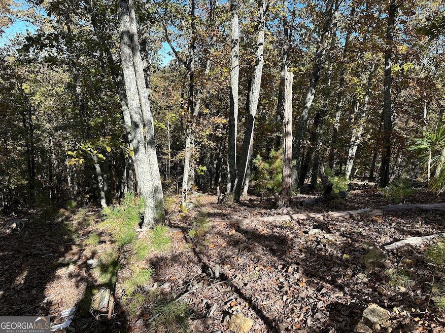 TR 3 Culp Lake Rd, Cedartown, GA 30125 - photo 1