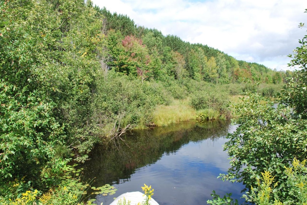 ON Cth P unit 37.90 Ac., Argonne, WI 54511 - photo 1