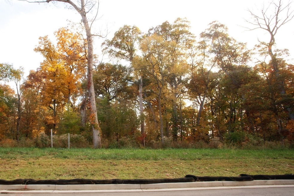 3975-lot 88 166th Ln, Cedar Creek Township, IN 46356 - photo 1