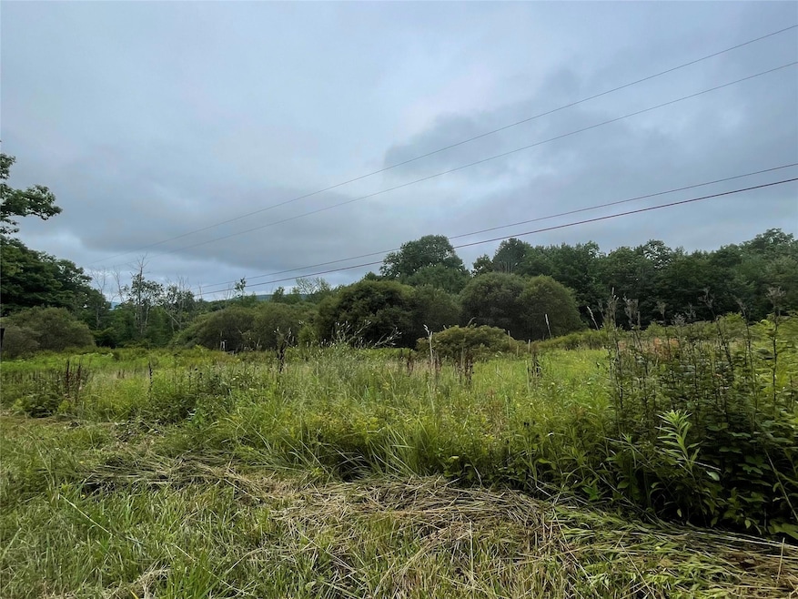 0 Basil Todd Rd, Middletown, NY 12430 - photo 1