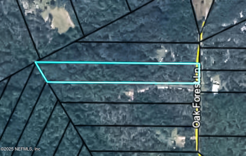 4235 Oak Forest Ln, Keystone Heights, FL 32656 - photo 1