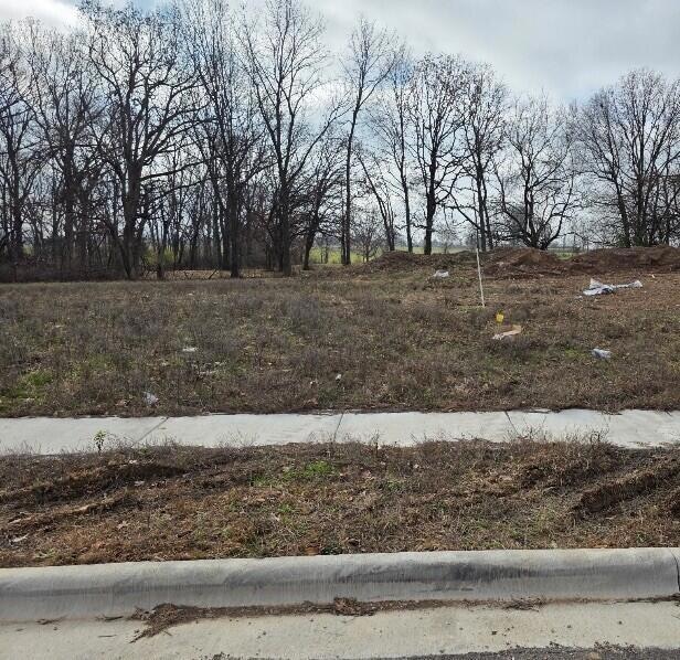 670 W Brook Hollow Rd, Nixa, MO 65714 - photo 1