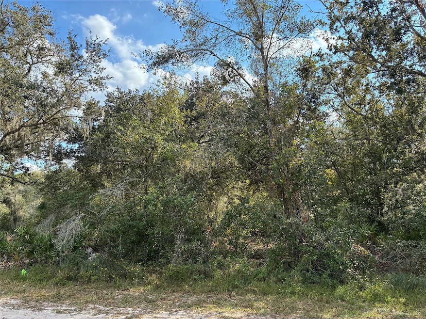 Lot 22, Block 125 Park Ave, Lake Wales, FL 33855 - photo 1