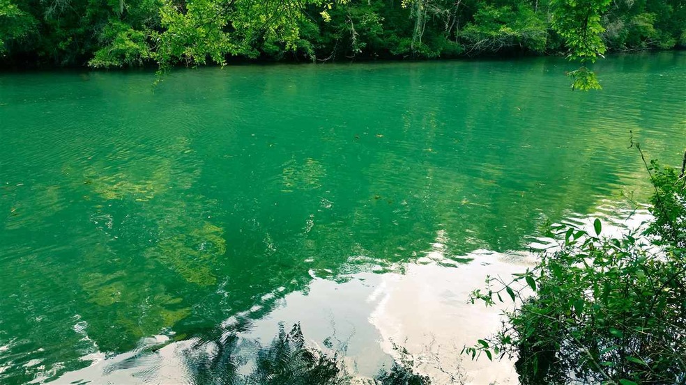 xxxx Rio Paz Trace, Crawfordville, FL 32327 - photo 1