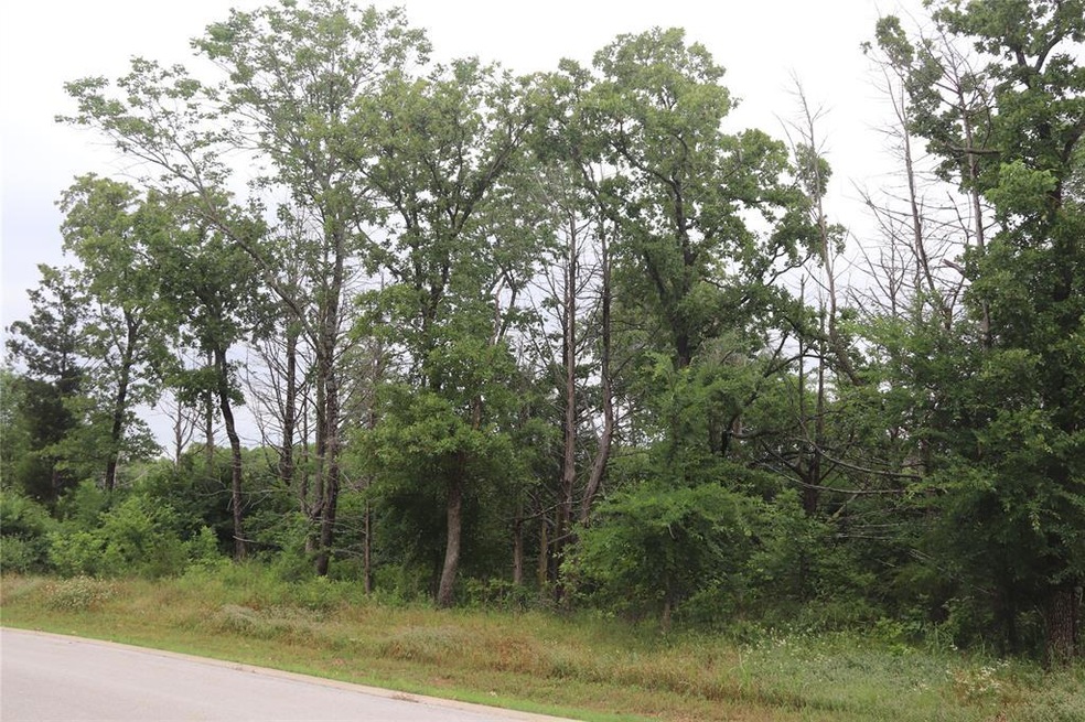 371 Palmilla Dr, Gordonville, TX 76245 - photo 1