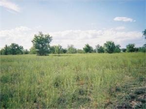 Green Valley Acres