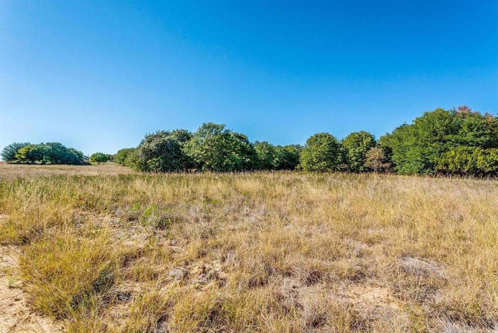 Lot 33 Graystone Dr, Millsap, TX 76066 - photo 1