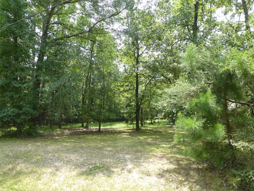 10103 Seneca Trail, Magnolia, TX 77354 - photo 1