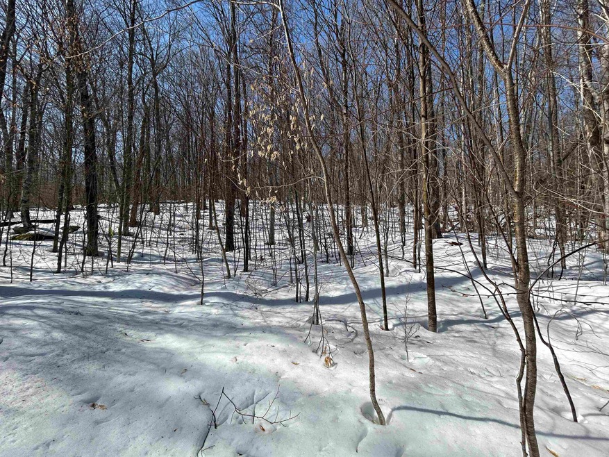 00 Margeaux Ln, Stratton, VT 05155 - photo 1