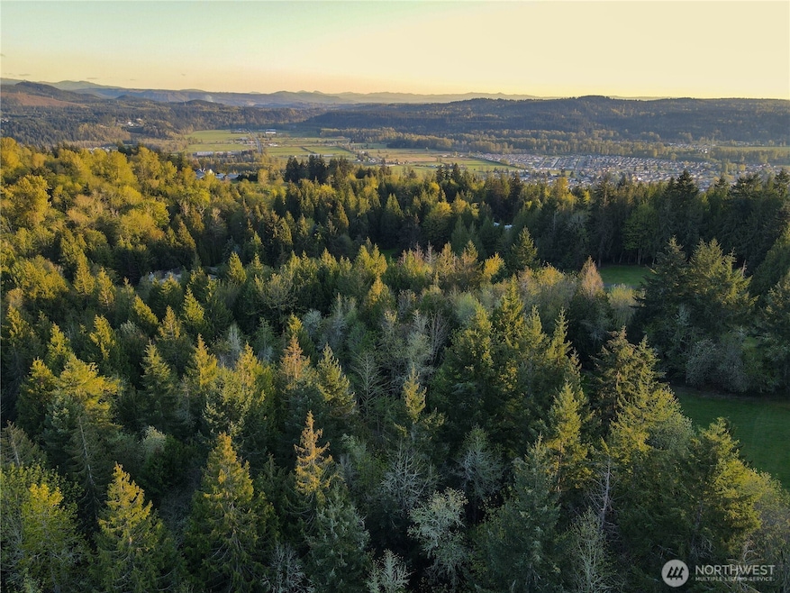 18415 170th St E, Bonney Lake, WA 98391 - photo 1