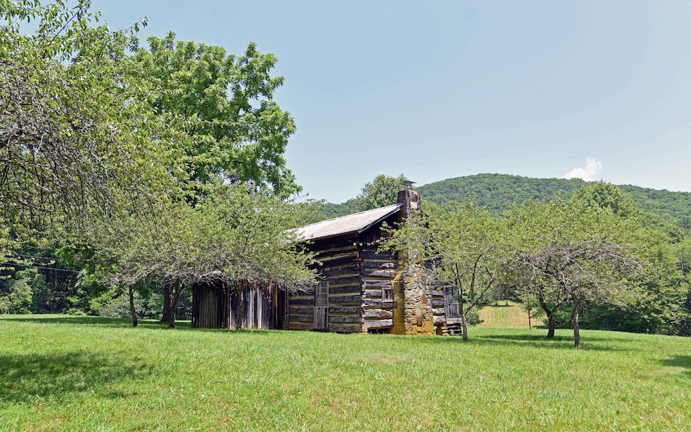 Main View