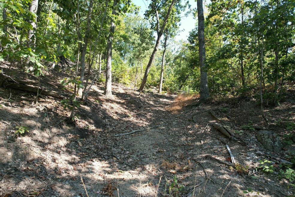 0 Evan Sisters Rd, Flemingsburg, KY 41041 - photo 1