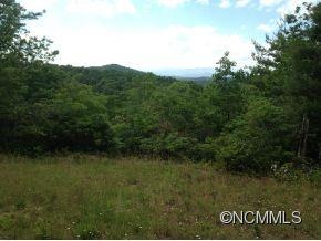 view of Blue Ridge mtns.