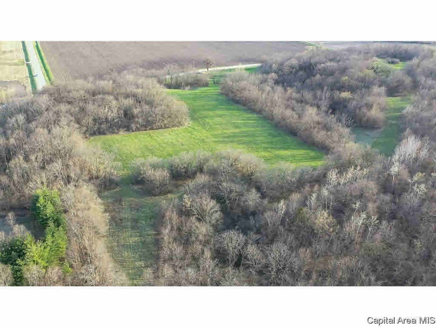 28705 Route 2 N, Hillsdale, IL 61257 - photo 1