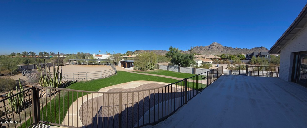 Back Yard 1