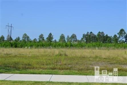 1300 Cross Water Cir, Leland, NC 28451 - photo 1