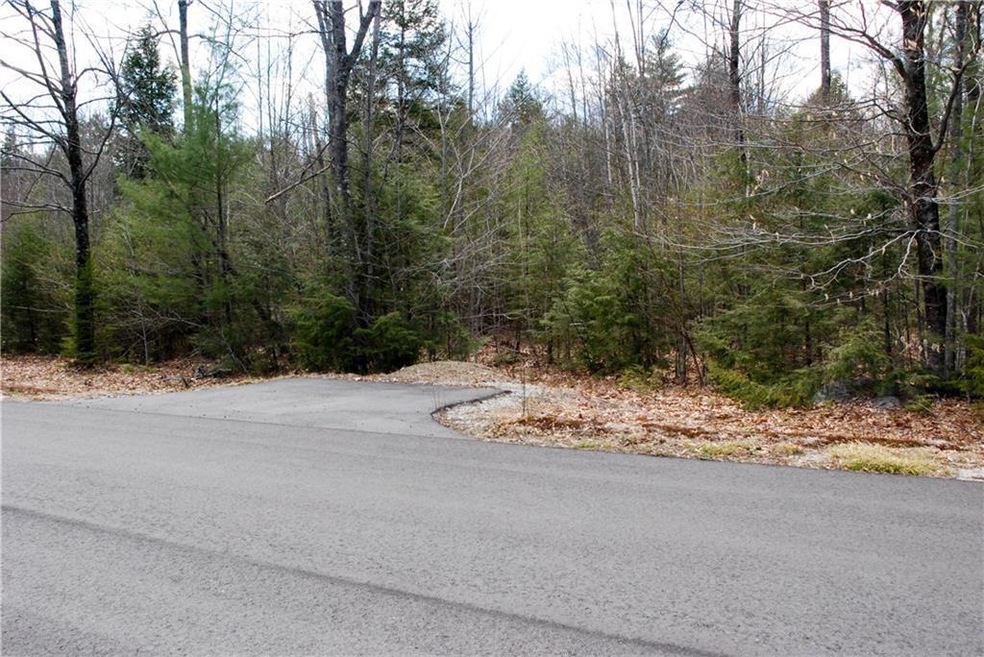 101 Grandview Rd, Conway, NH 03860 - photo 1